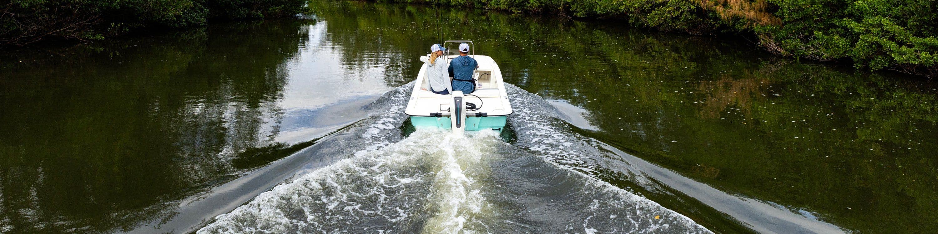 Avator propulsion system